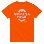 2dcbfc9e-43b1-4313-b2f5-d96abcce0d24