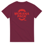 5713b201-aa8a-46ee-9964-db6070af8153