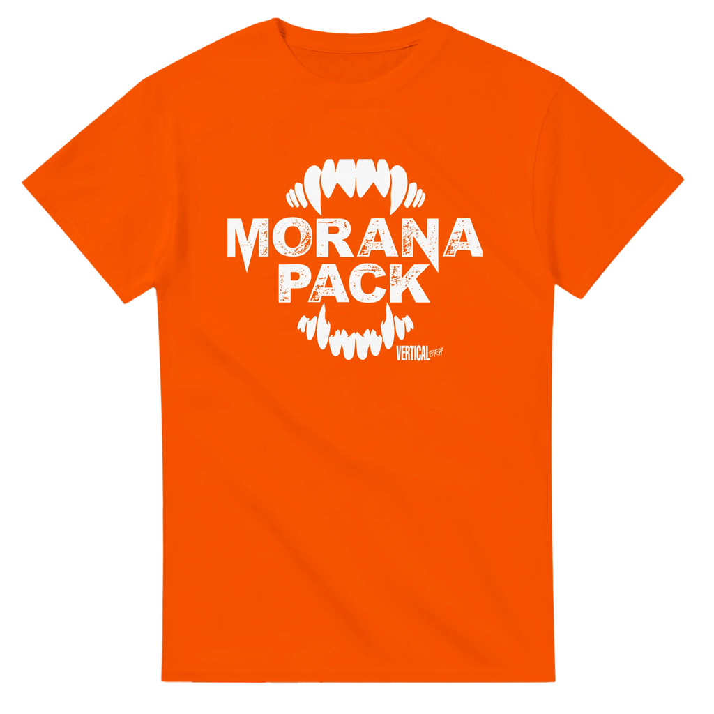 ffcd0aed-22c3-4dc2-ada3-2fef78577779